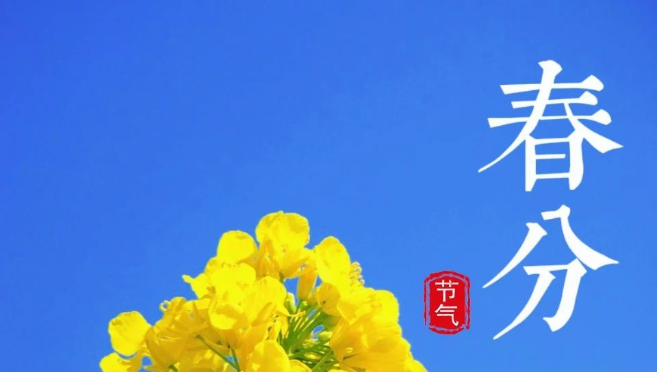 愛生活 愛簡小葉|春分茶事：一杯春意，半盞清歡