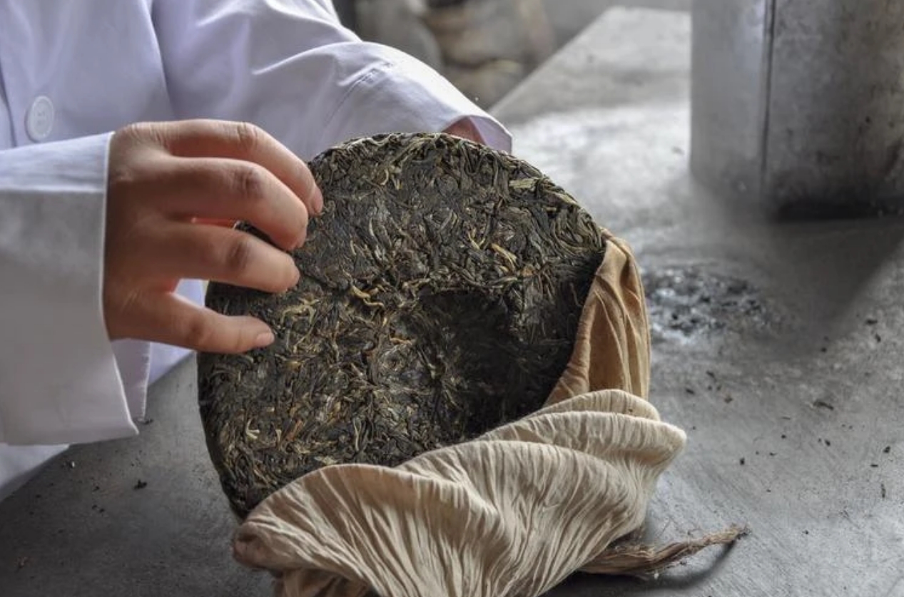 簡(jiǎn)小葉說茶|葉脈間的光陰詩行：與古樹普洱對(duì)話山野的呼吸