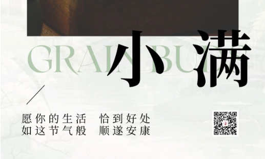 小滿盈盞｜以一杯「恰好」的茶湯，對飲人間小圓滿