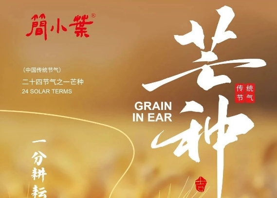 芒茶拾夏｜茶煙輕起時，「簡小葉」藏夏色