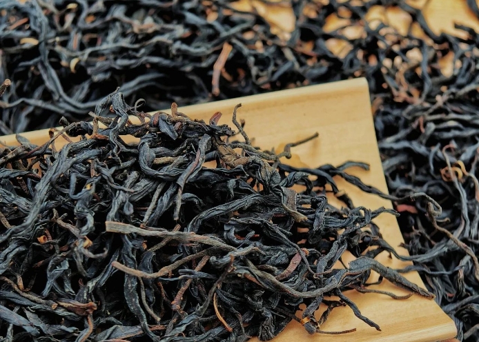 簡(jiǎn)小葉說茶|千年古樹，一盞紅韻——探秘云南古樹紅茶的自然饋贈(zèng)