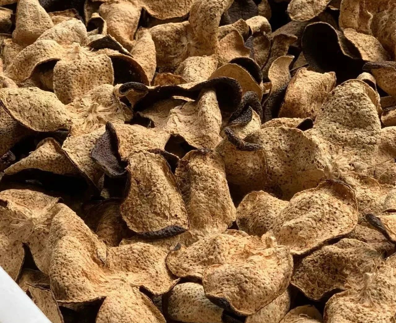 開卷有益｜陳皮你知多少