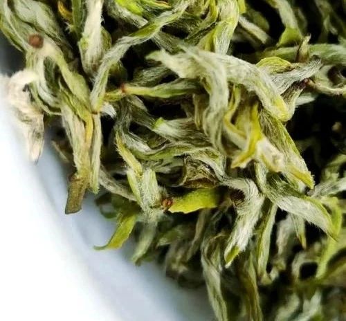 簡小葉說茶|中國歷史上最古老的名茶之一——蒙頂甘露