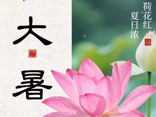 大暑|伏意盛極 茶涼長(zhǎng)夏