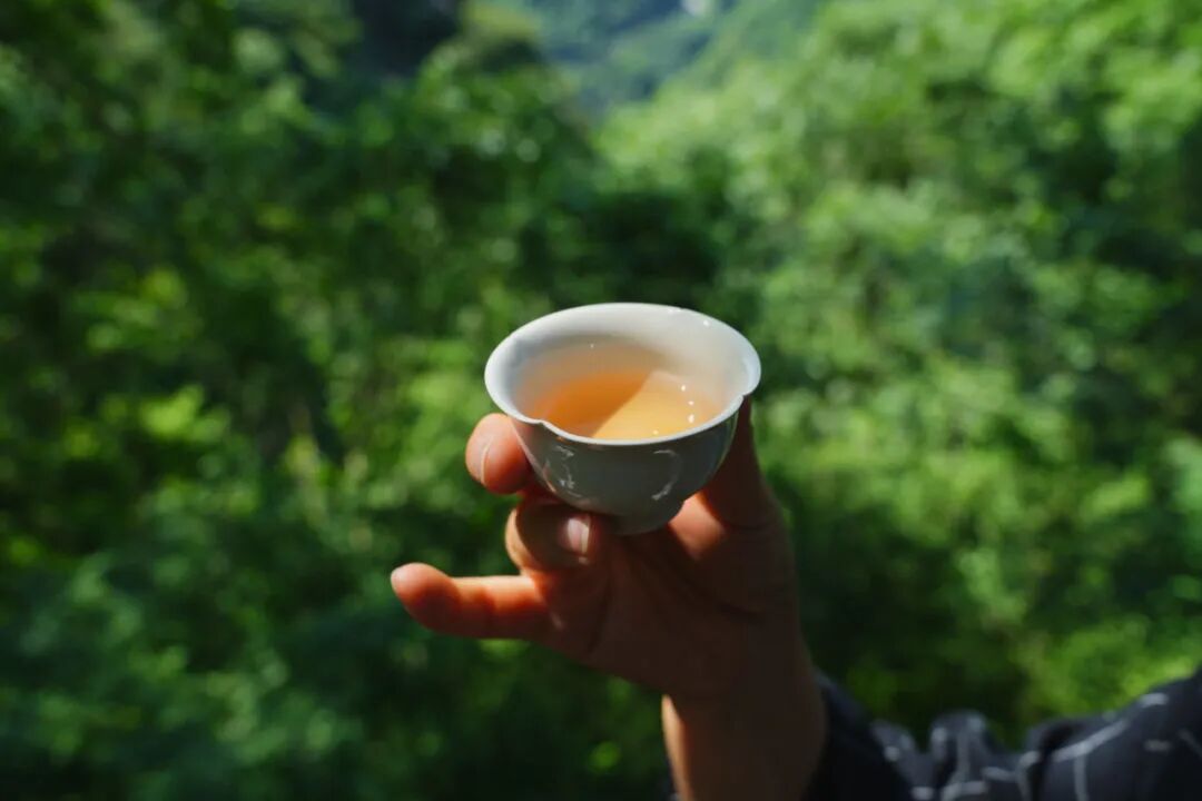 愛生活 愛簡小葉|三杯清熱配方，解鎖自然降溫法