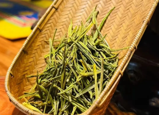 簡小葉說茶|安吉白茶的鮮爽奧秘：氨基酸含量遠超綠茶的味覺體驗