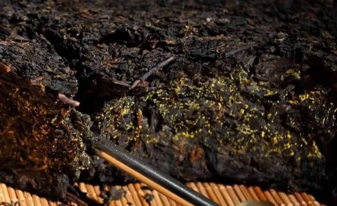 愛生活 愛簡小葉|“粗茶淡飯”中的“粗茶”，是被低估的寶藏？