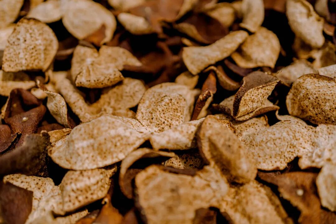 愛生活 愛簡小葉|一杯陳皮 秋日不燥