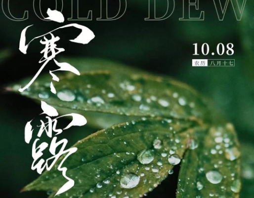 寒露|寒露至，秋思長(zhǎng)