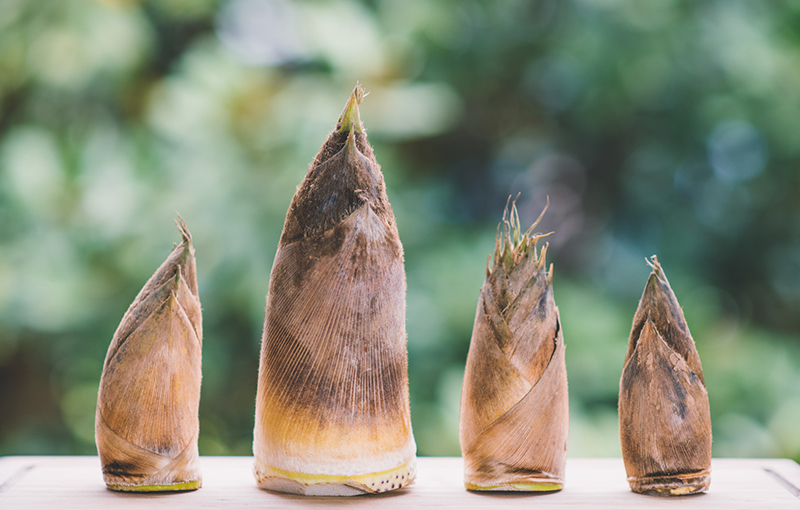 簡(jiǎn)小葉家鄉(xiāng)特產(chǎn)之土樓麻竹筍干