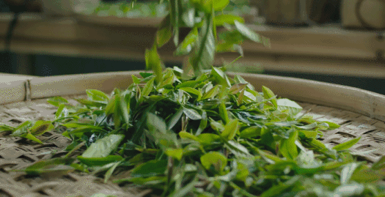 愛生活 愛簡小葉|土樓紅系列之一點(diǎn)紅