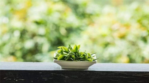 開卷有益｜毛主席喝茶的習慣