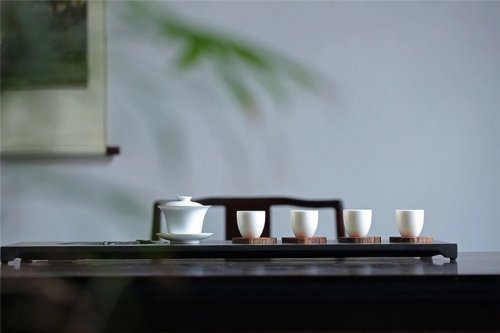 簡小葉說茶|白茶存放多久更好喝？